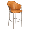 Kova Metal Bar Stool with Arms in Clear Coat