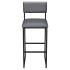 Indy Metal Bar Stool with Padded Back Thumbnail 3